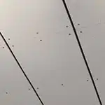 An image containing parts of three accoustic tiling panels taken at a diagonal angle.