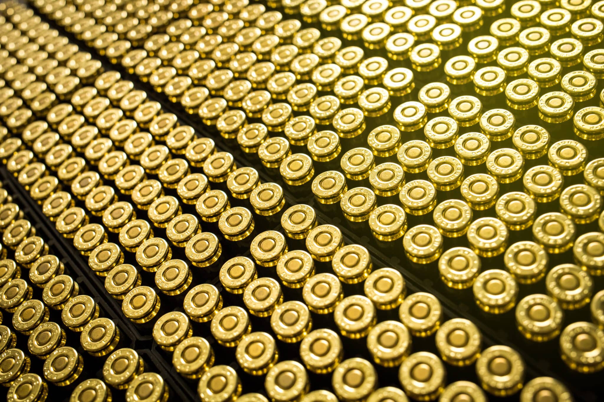 Brass bullet casings aligned in rows, reflecting light, close-up view.