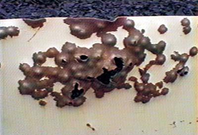 Vertical Rubber Granule Trap 3