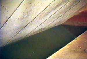 Water and Plate Trap